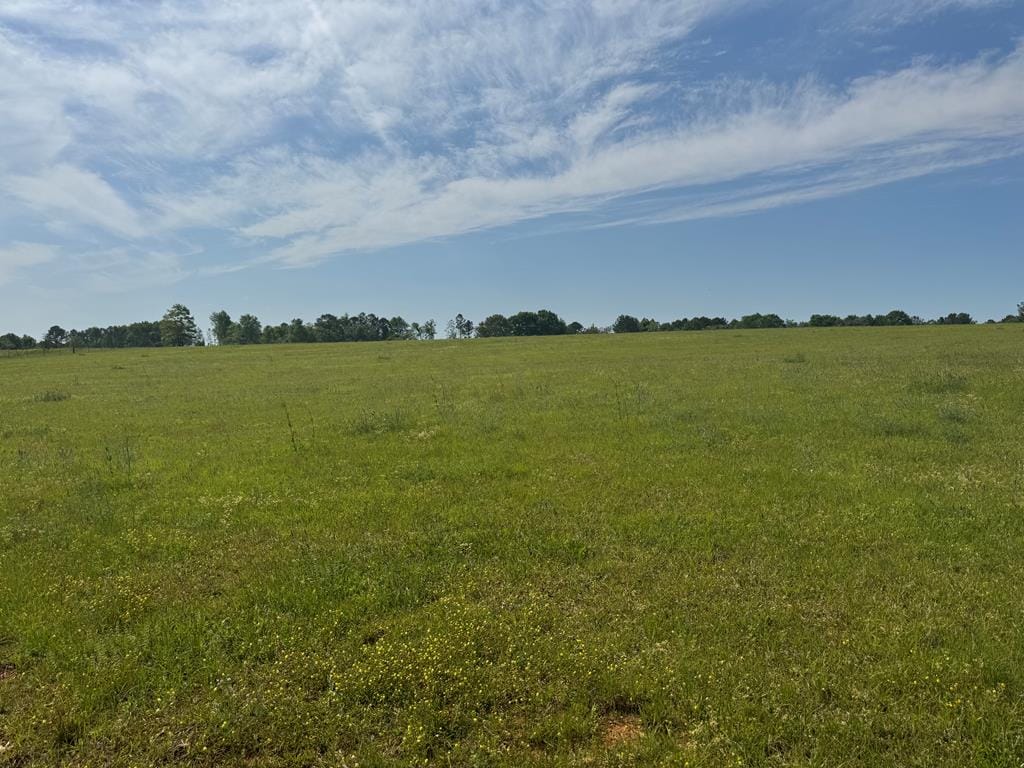 0 Valley Road, Lumpkin, GA, 31815