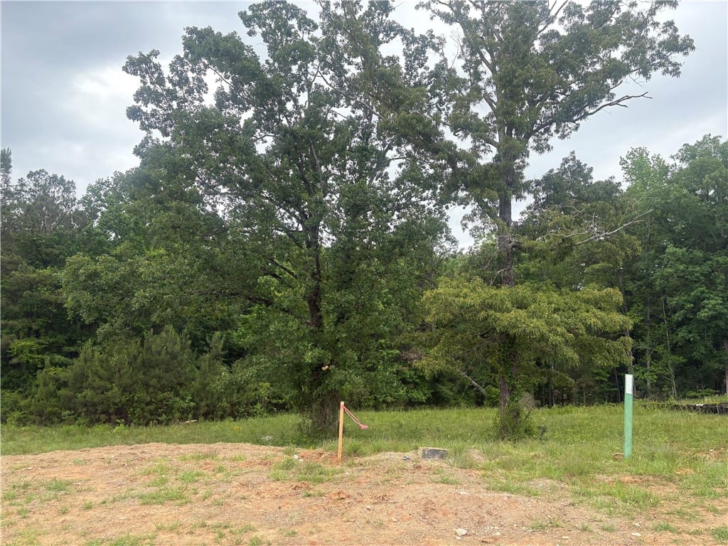 815 Summerlin Dr, Auburn, AL 36830, This expansive lot presents a canvas for building