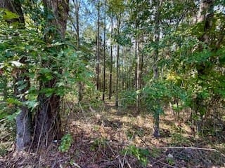 PARCEL A LEE ROAD 390, Opelika, AL, 36804 — Photo 3