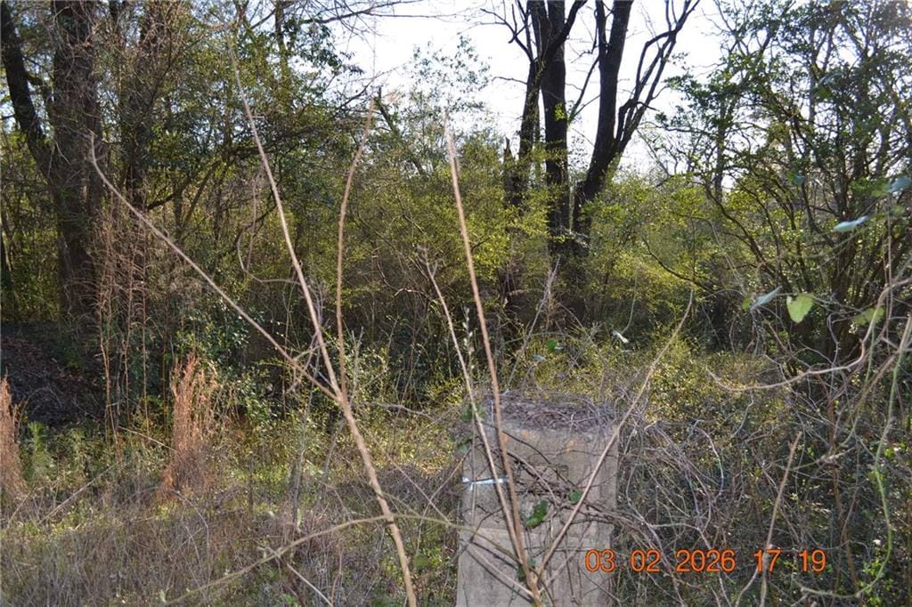 0 Auburn Road, Phenix City, AL, 36870 — Photo 2