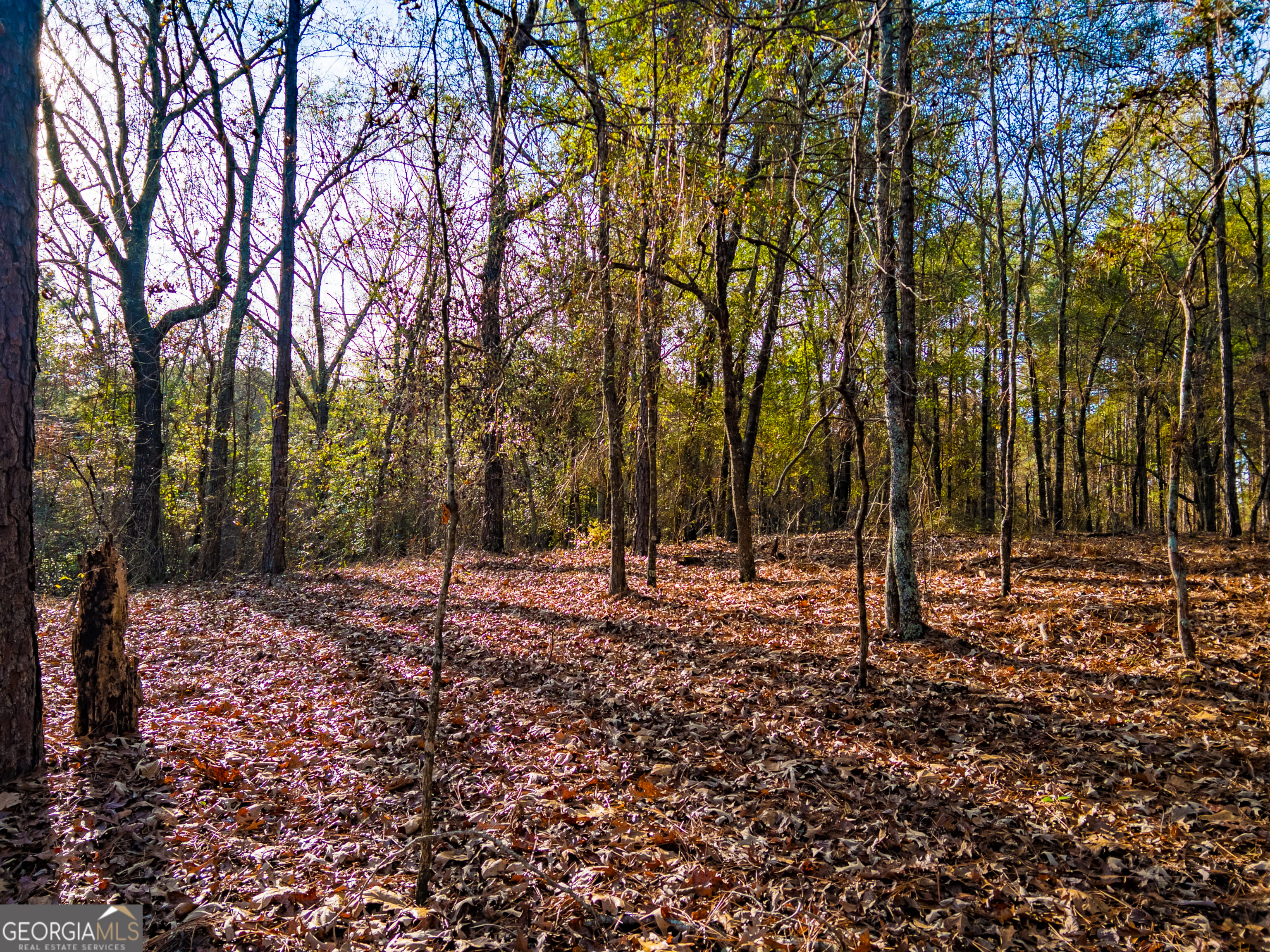 0 Roberta Highway, Butler, GA, 31006