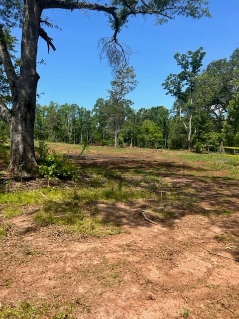 6476 Alabama 49, Dadeville, AL, 36853 — Photo 3