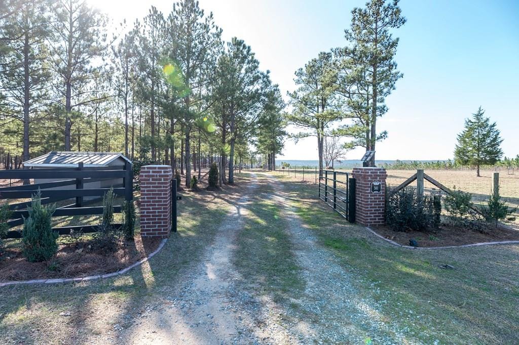 561 Juniper Mill Pond Road, Box Springs, GA, 31801