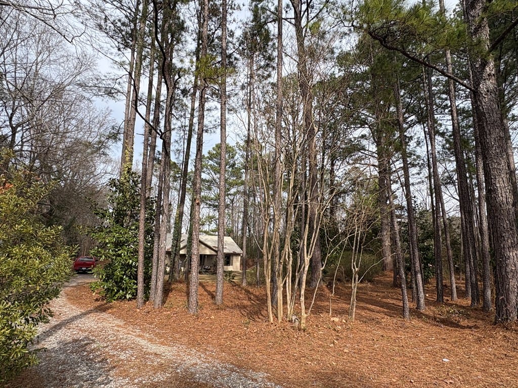 799 Cannon Road, Fortson, GA, 31808 — Photo 2