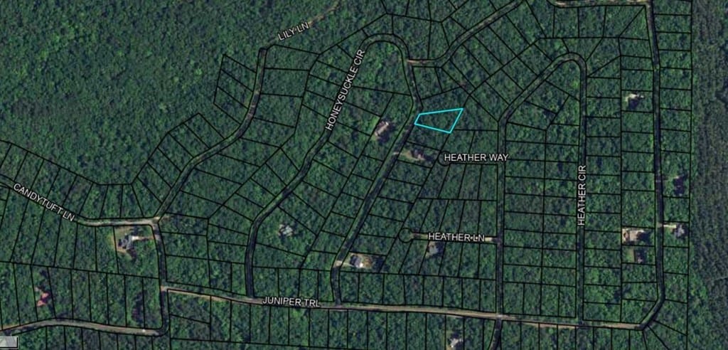 Heather Cir, Georgia 31831