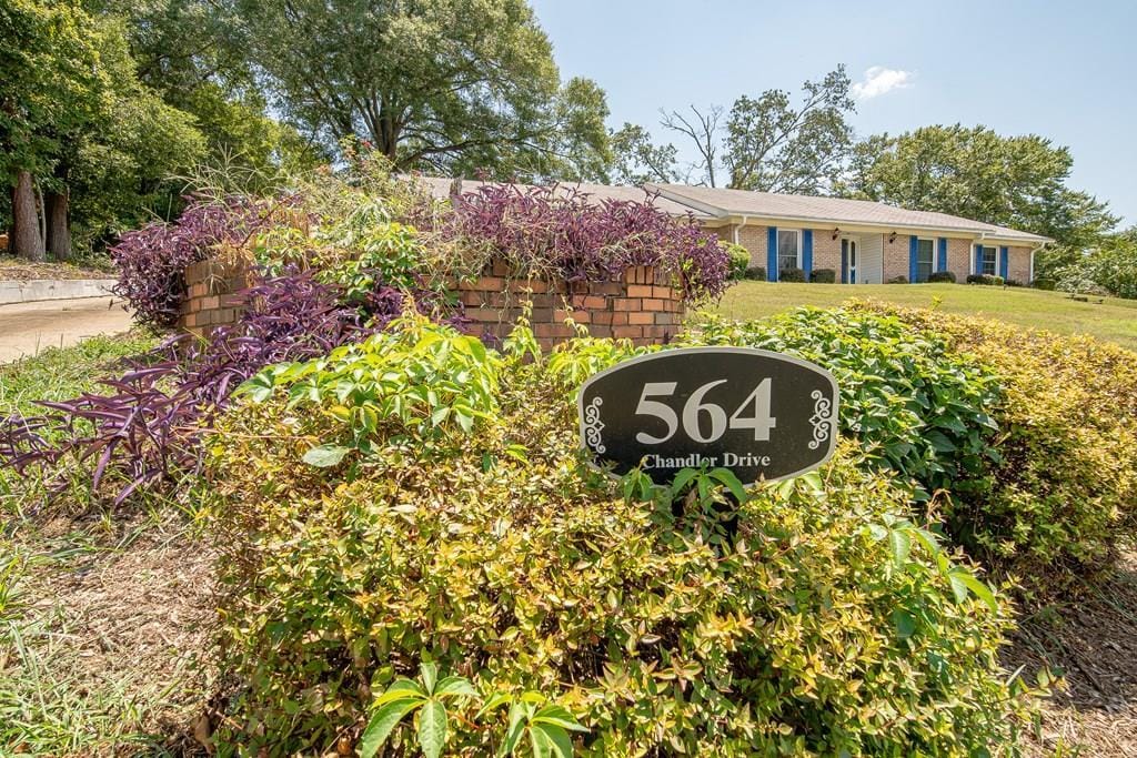 564 Chandler Drive, Columbus, GA, 31907 — Photo 2