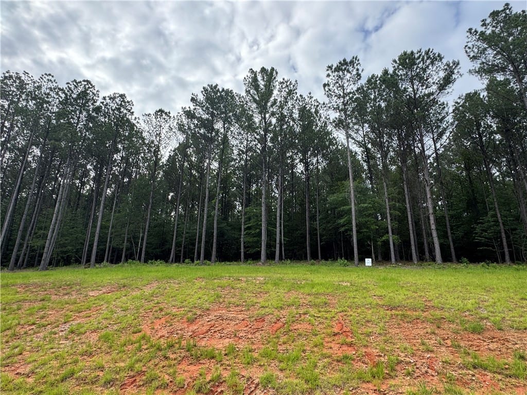 2220 WINCHESTER, Auburn, AL, 36879
