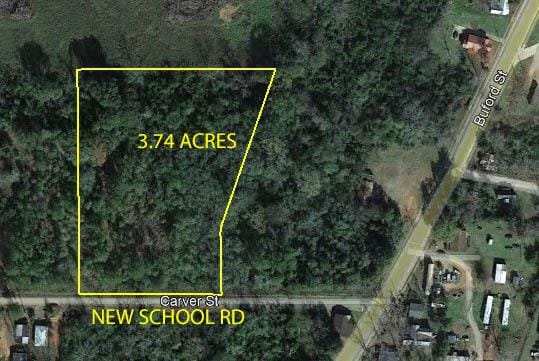 0 Carver Street, Shellman, GA, 39886