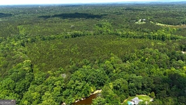 0 Maria Ln, Ellerslie, GA 31807
