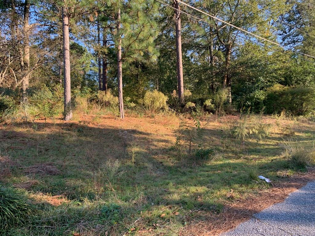 0 Lee Road 0485, Phenix City, AL, 36870
