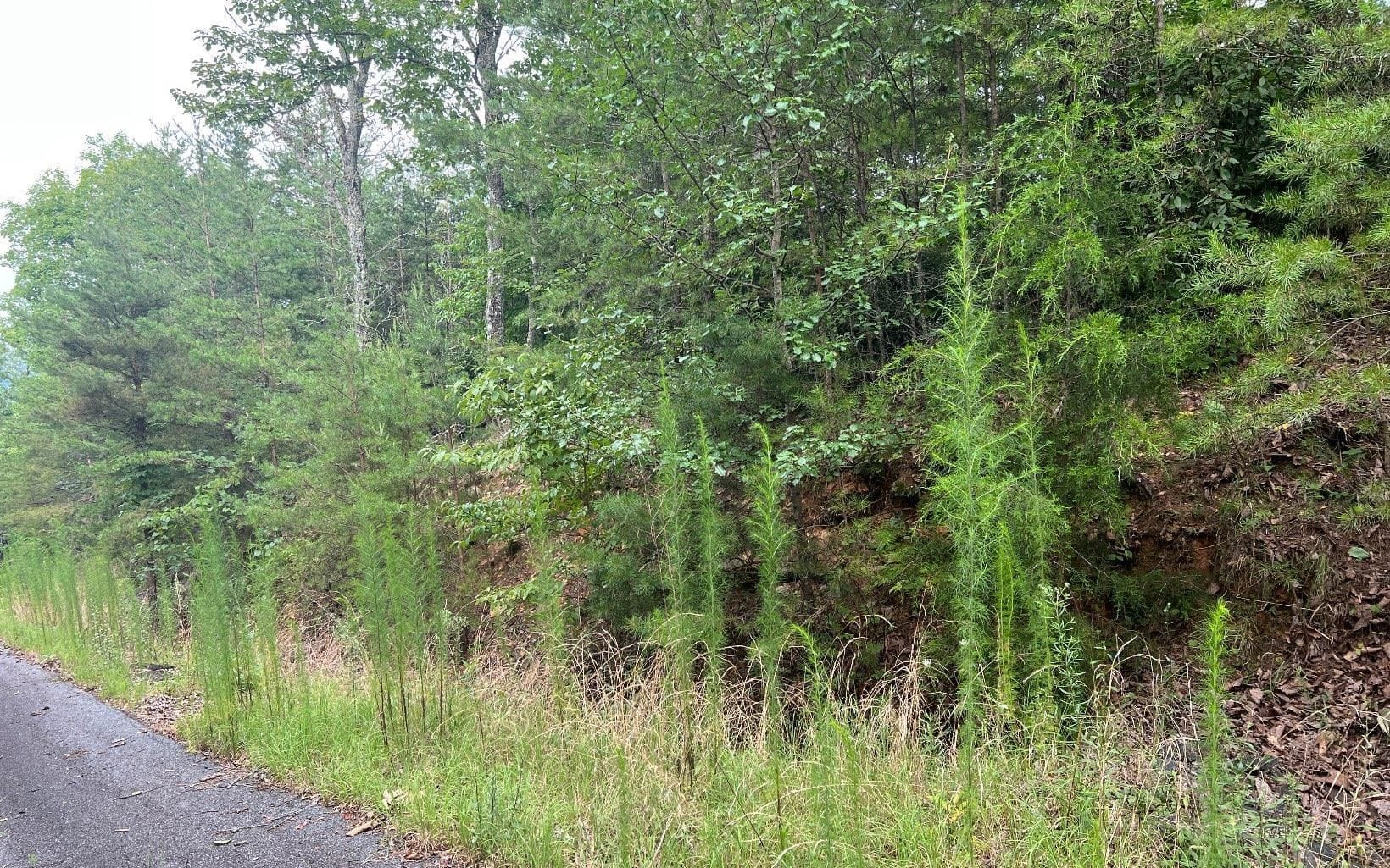 LOT 8 Preserve At Beach Mountain, Brasstown, NC, 28902