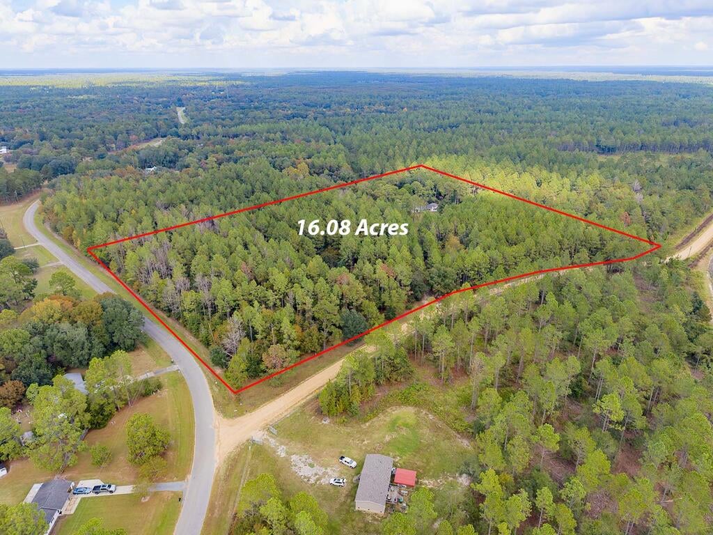 237 Thundering Springs Rd, Leesburg, GA 31763