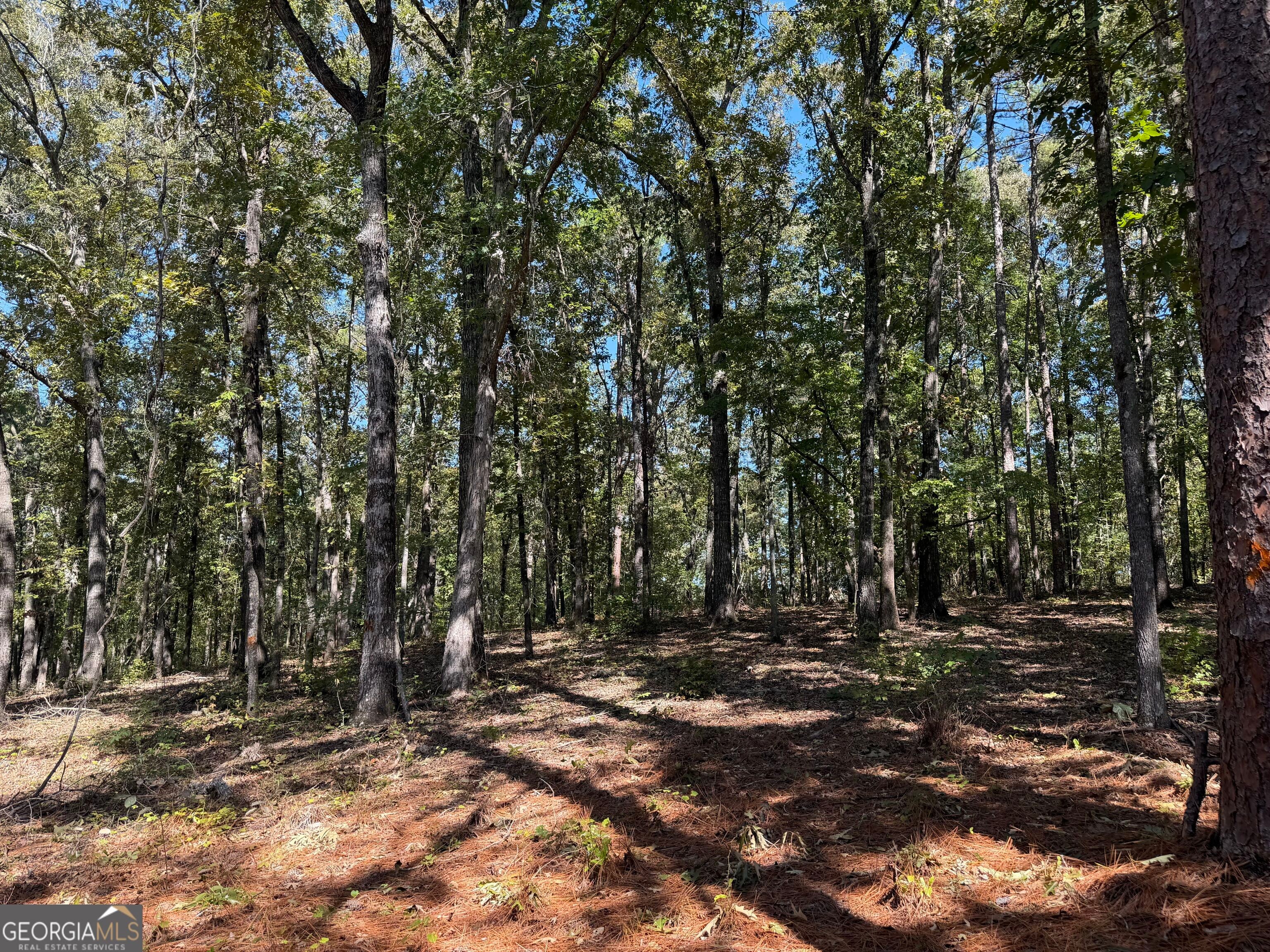 0 County Rd 701, Roanoke, AL 36274
