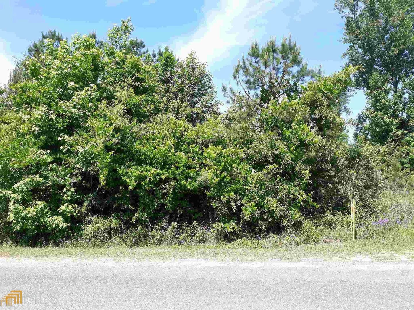 0 Chatfield Road #track a, b & pb2/53, Culloden, GA, 31016