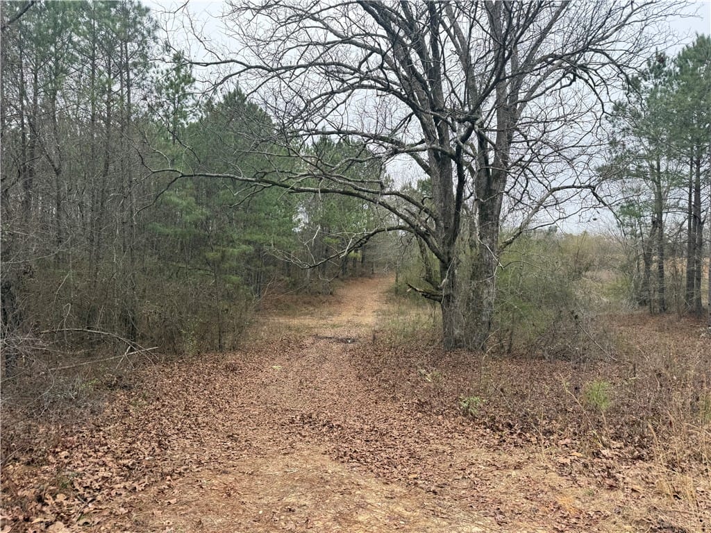 2379 County Road 21 North, Verbena, AL, 36091