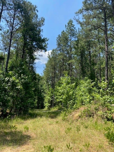 00 Callier Road, Talbotton, GA, 31827 — Photo 2