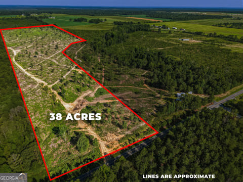 38 ACRES Ga Highway 240 N CONNECTOR, Mauk, GA, 31058