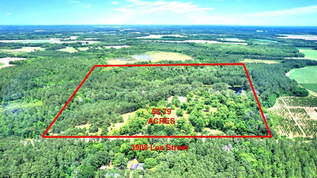 3908 Lee Street Rd, Leslie, GA, 31764