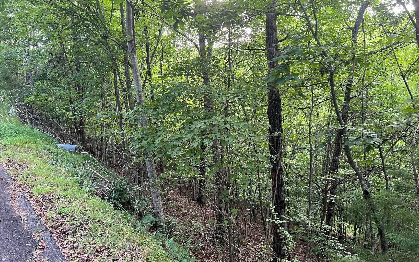LOT 13 Preserve At Beach Mountain, Brasstown, NC, 28902