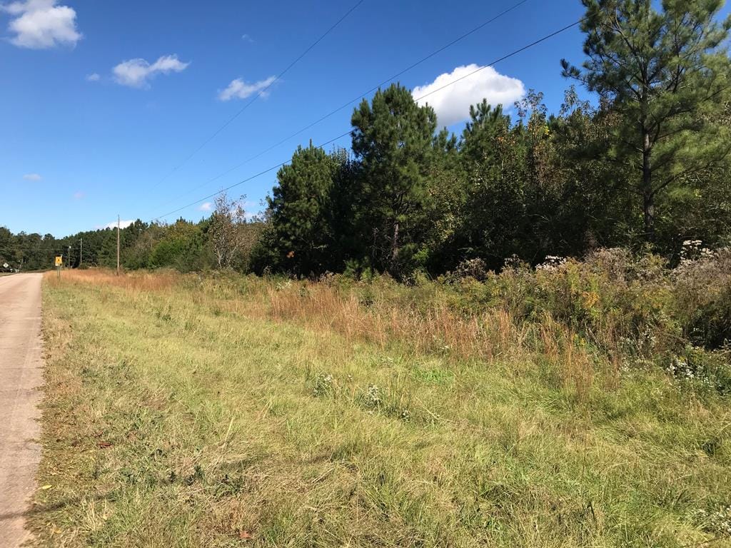 0 L Street, Pine Mountain Valley, GA, 31823