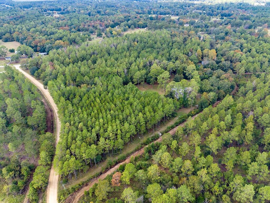 237 Thundering Springs Rd, Leesburg, GA 31763