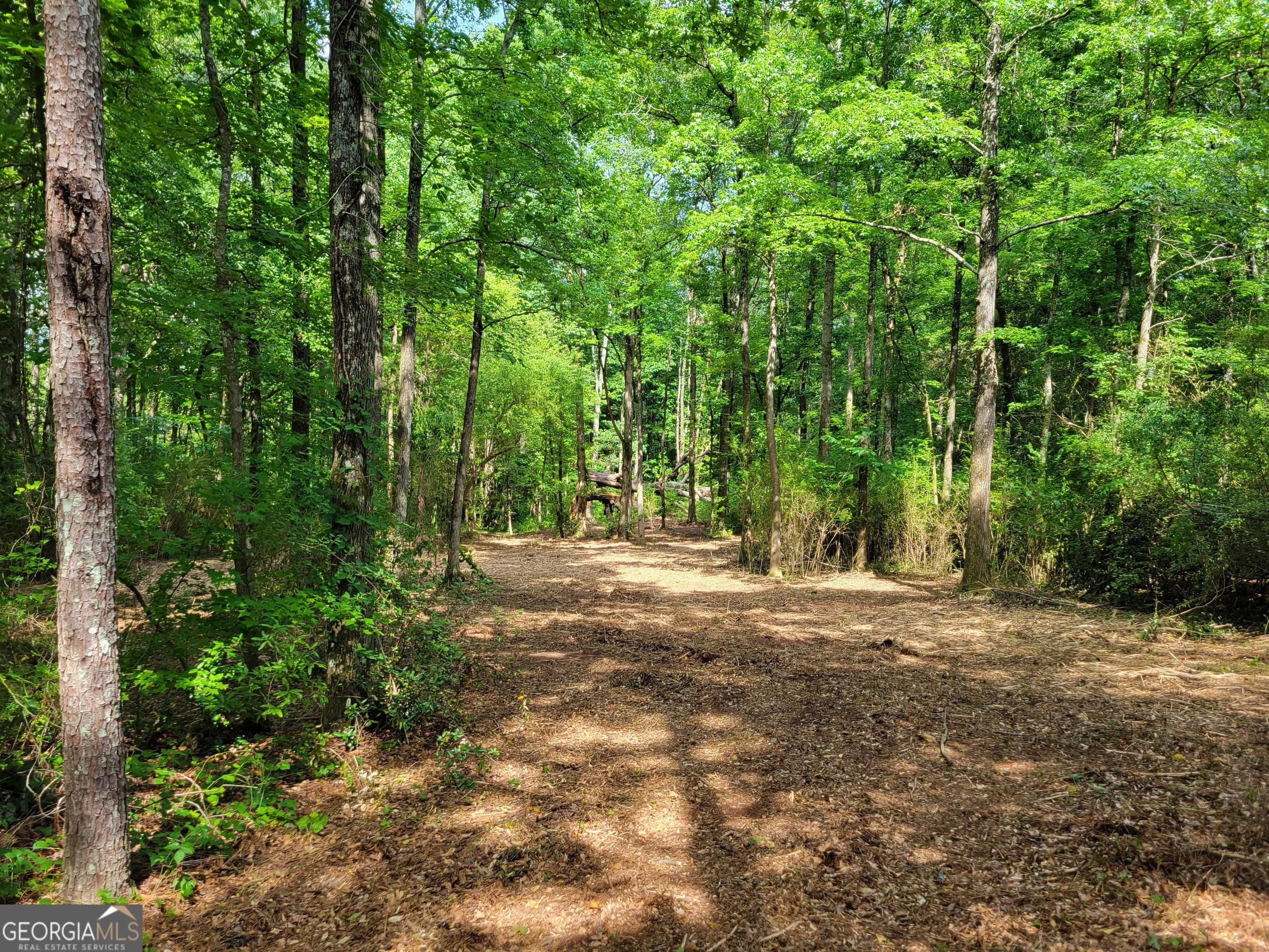 2200 Rest Haven Rd, Barnesville, GA 30204