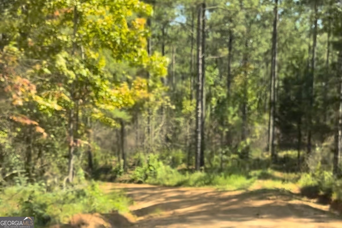 0 County Road 831 #tract #1, Wadley, AL, 36276