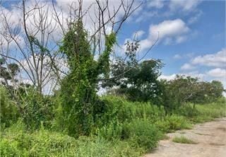 1626 Moultrie Rd, Albany, GA 31705