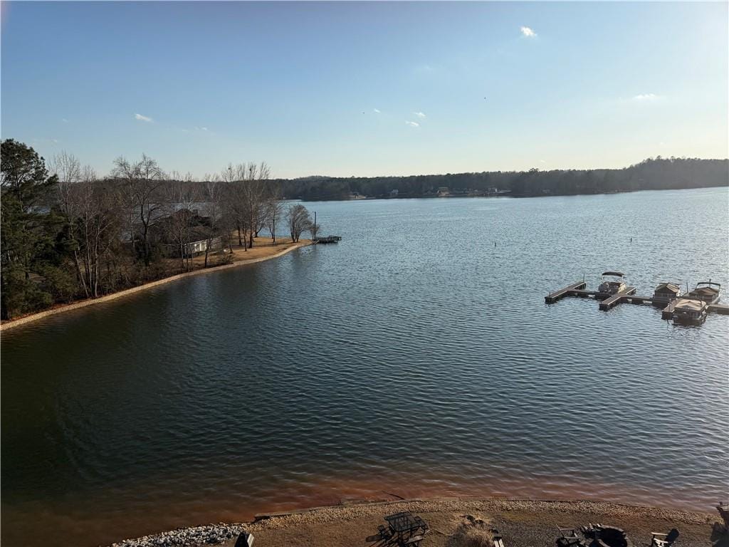 111 Lee Rd 802 244, Salem, AL 36874