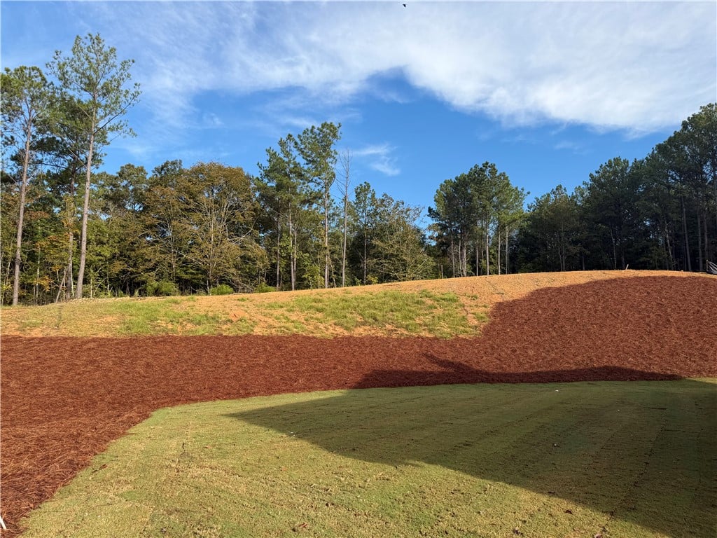 119 LEE ROAD 2098, Valley, AL, 36854, Mature trees frame the sloping green yard under a