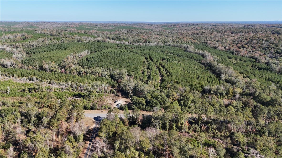 0 AL HIGHWAY 82, Eufaula, AL, 36027, An aerial panorama reveals expansive wooded acreag