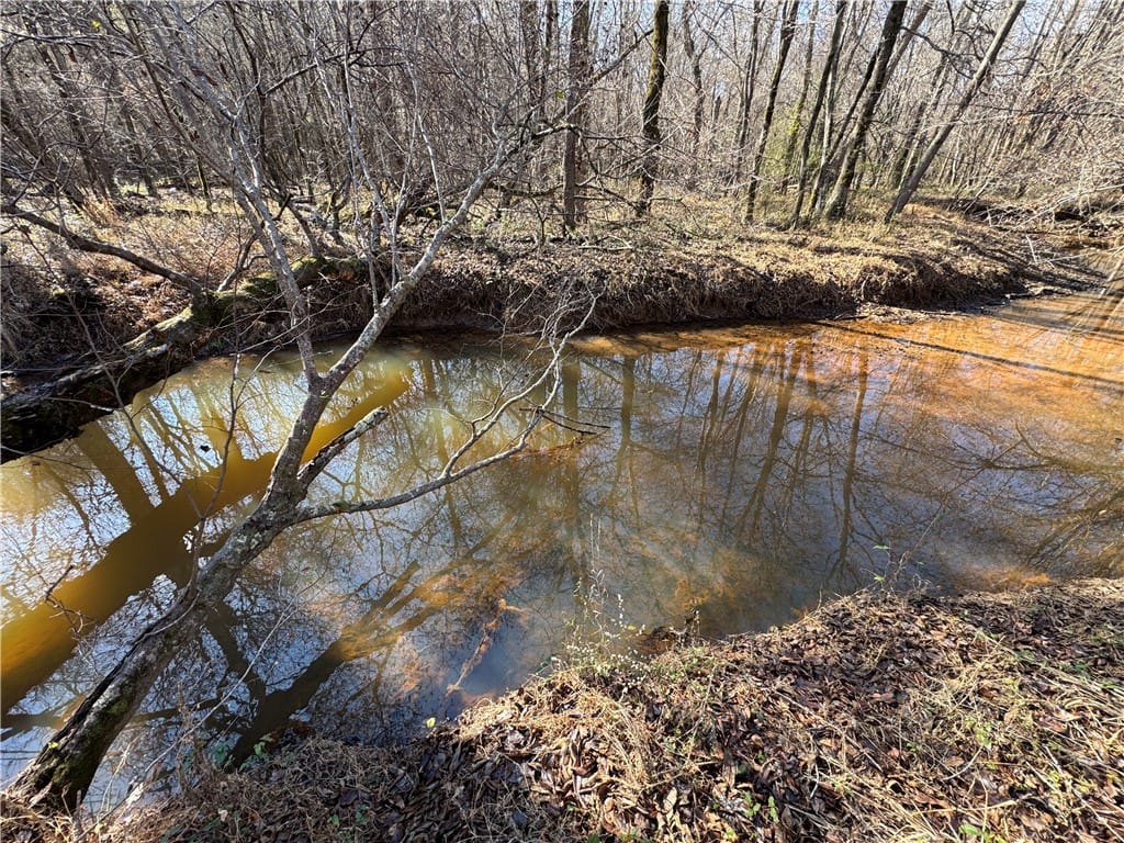 0 COUNTY ROAD 48, Lafayette, AL, 36862 — Photo 3