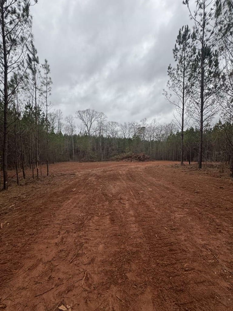 1455 Bethel Church Rd, Luthersville, GA 30251, USA — Photo 3