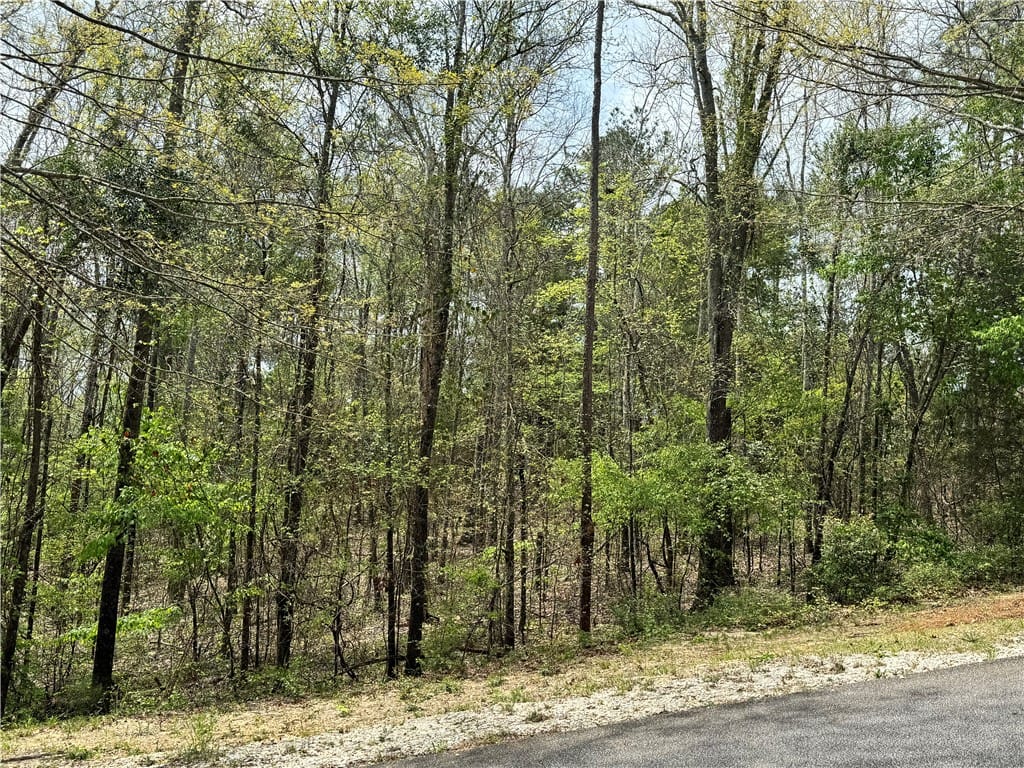 975 LEE ROAD 2159, Beauregard, AL, 36804 — Photo 2