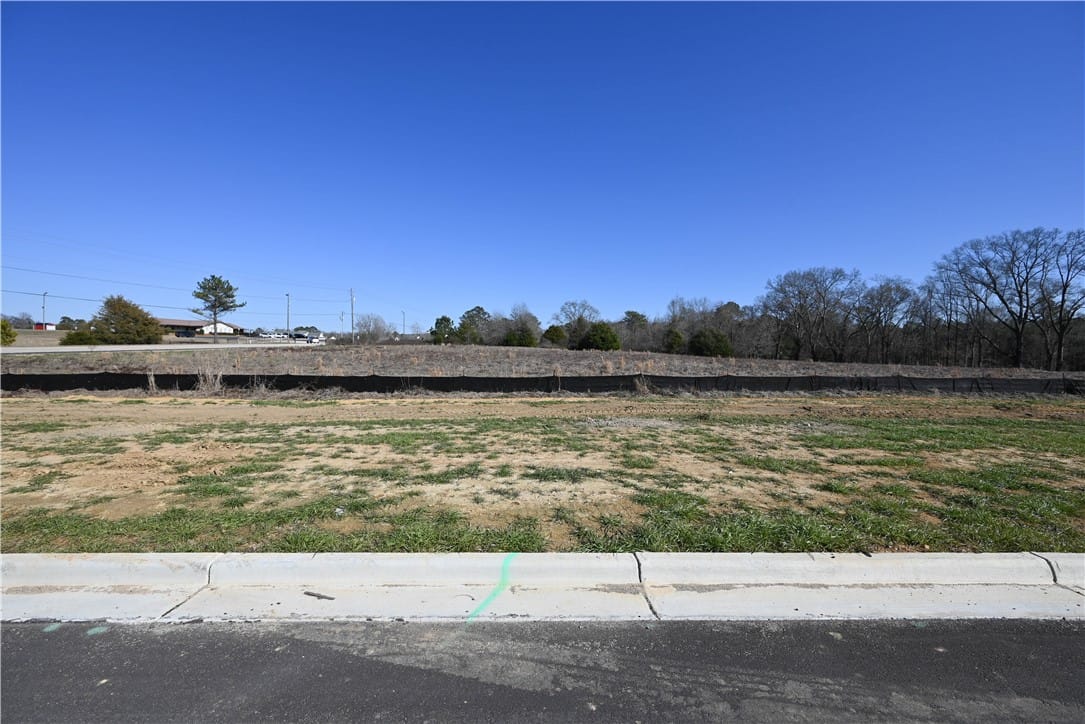 3505 RIDGELINE, Auburn, AL, 36830 — Photo 3