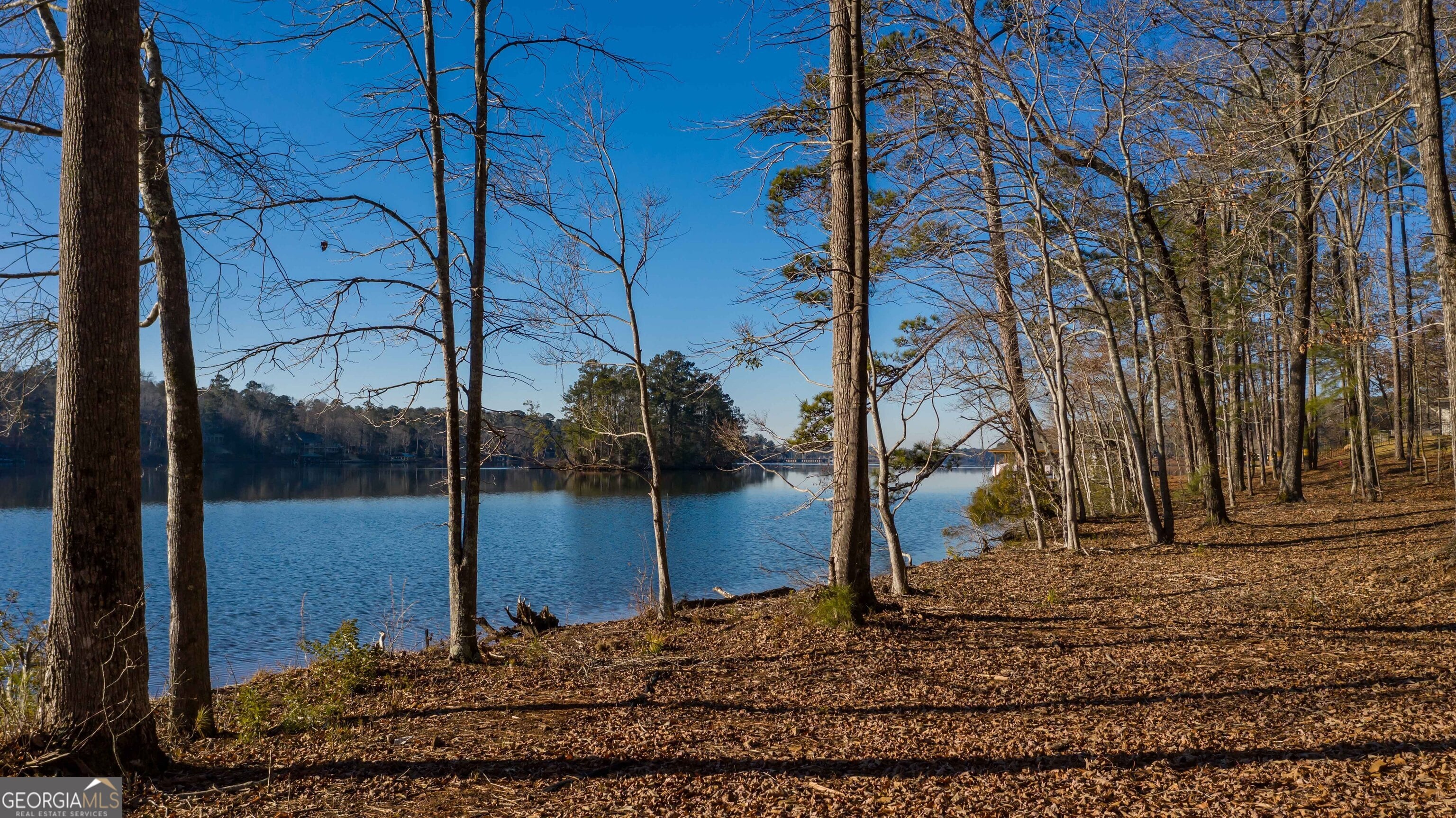 LOT 2 Hinton, Hamilton, GA, 31811