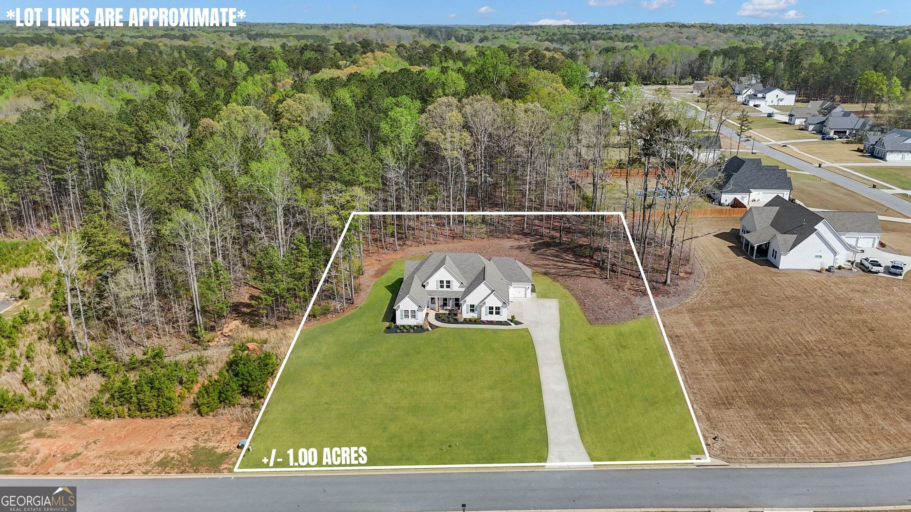 215 Grey Fairs Ave, Senoia, GA 30276