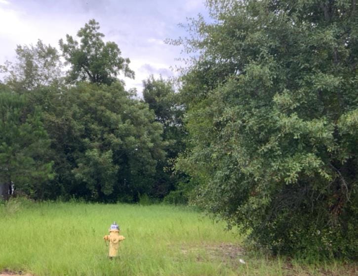 329 W Gordon Ave, Albany, GA 31701, USA — Photo 1