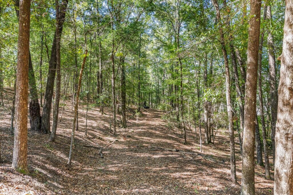 642 Nuckols Rd, Seale, AL 36875