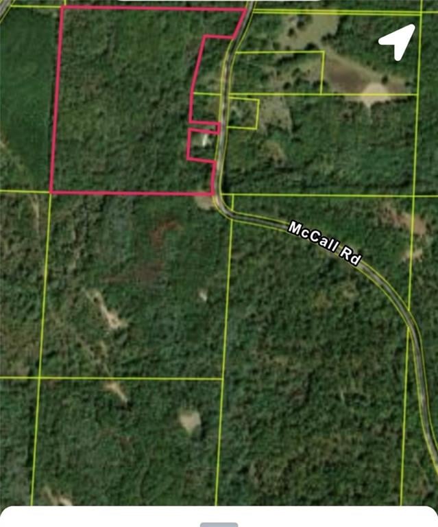 0 McCall Rd, Clayton, AL, 36016