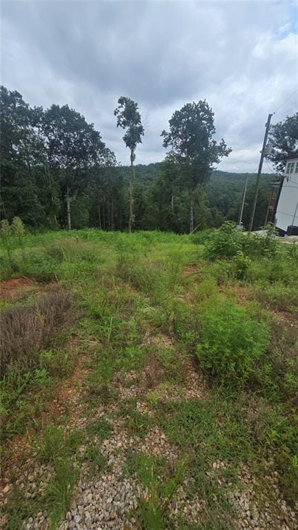 395 Foster Cove Dr, Lineville, AL 36266
