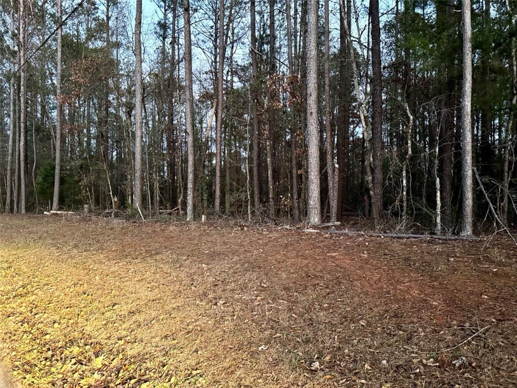 Hanson St, Opelika, AL 36801, USA