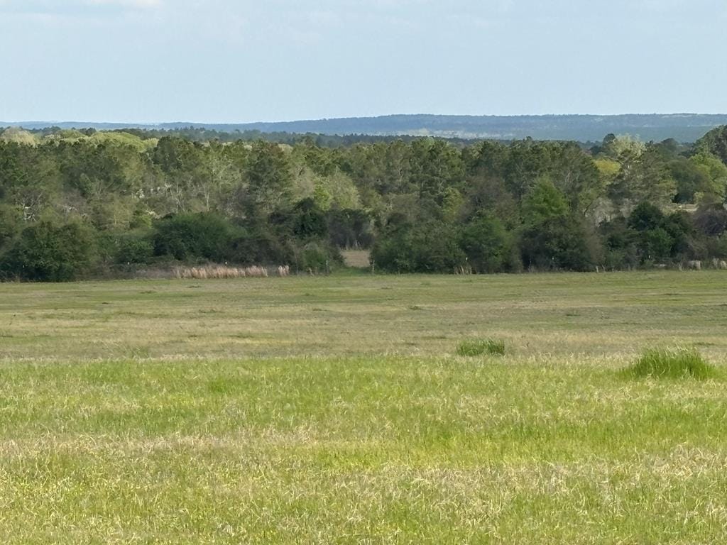 0 Hayes Road, Mauk, GA, 31058