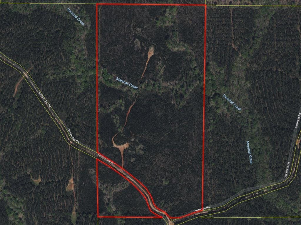 0 Carlisle Road, Woodland, GA, 31836