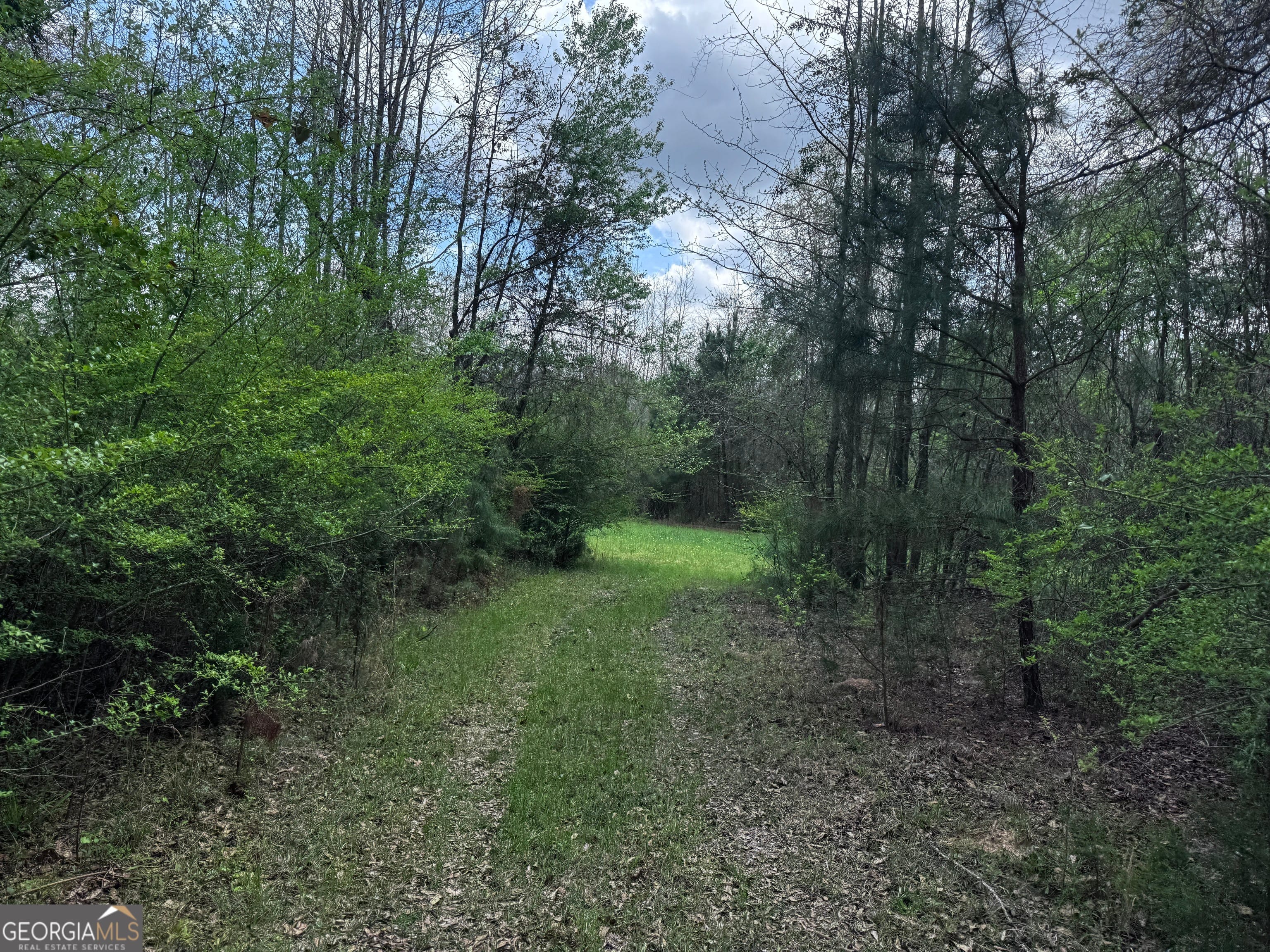 31+/- AC Highway 26, Buena Vista, GA, 31803