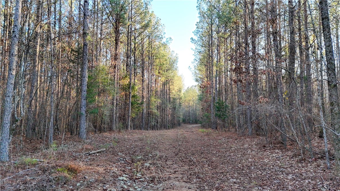 3427 Seals St, Waverly, AL 36879