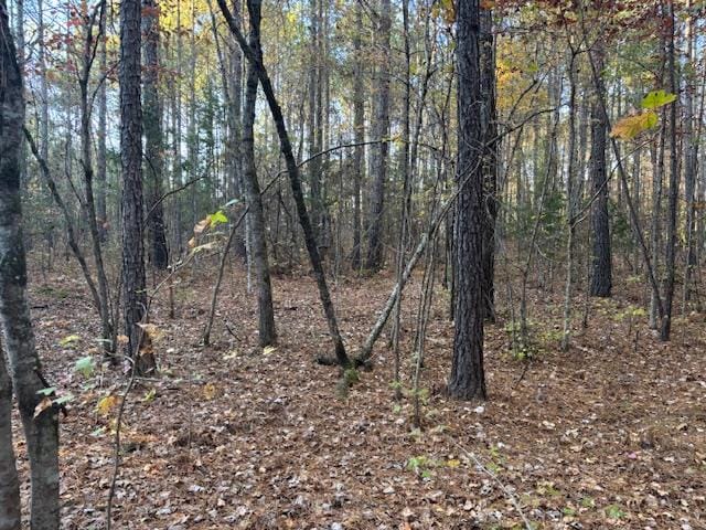 0 Brown Creek Road, Shiloh, GA, 31826