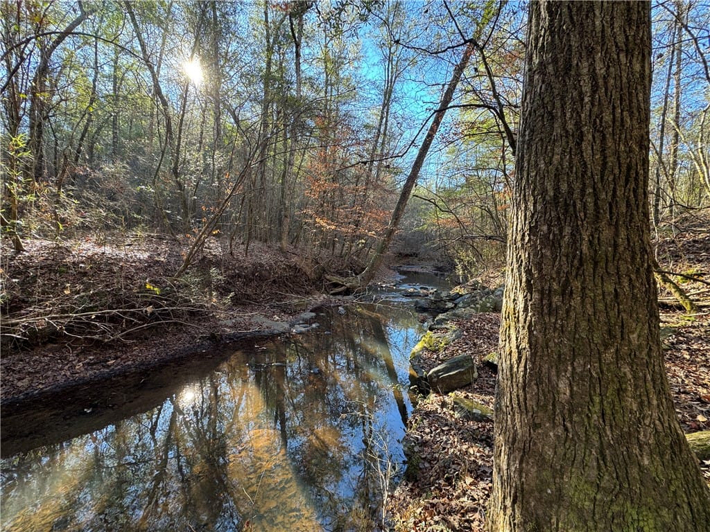 0 PLEASANT, Camp Hill, AL, 36850 — Photo 2