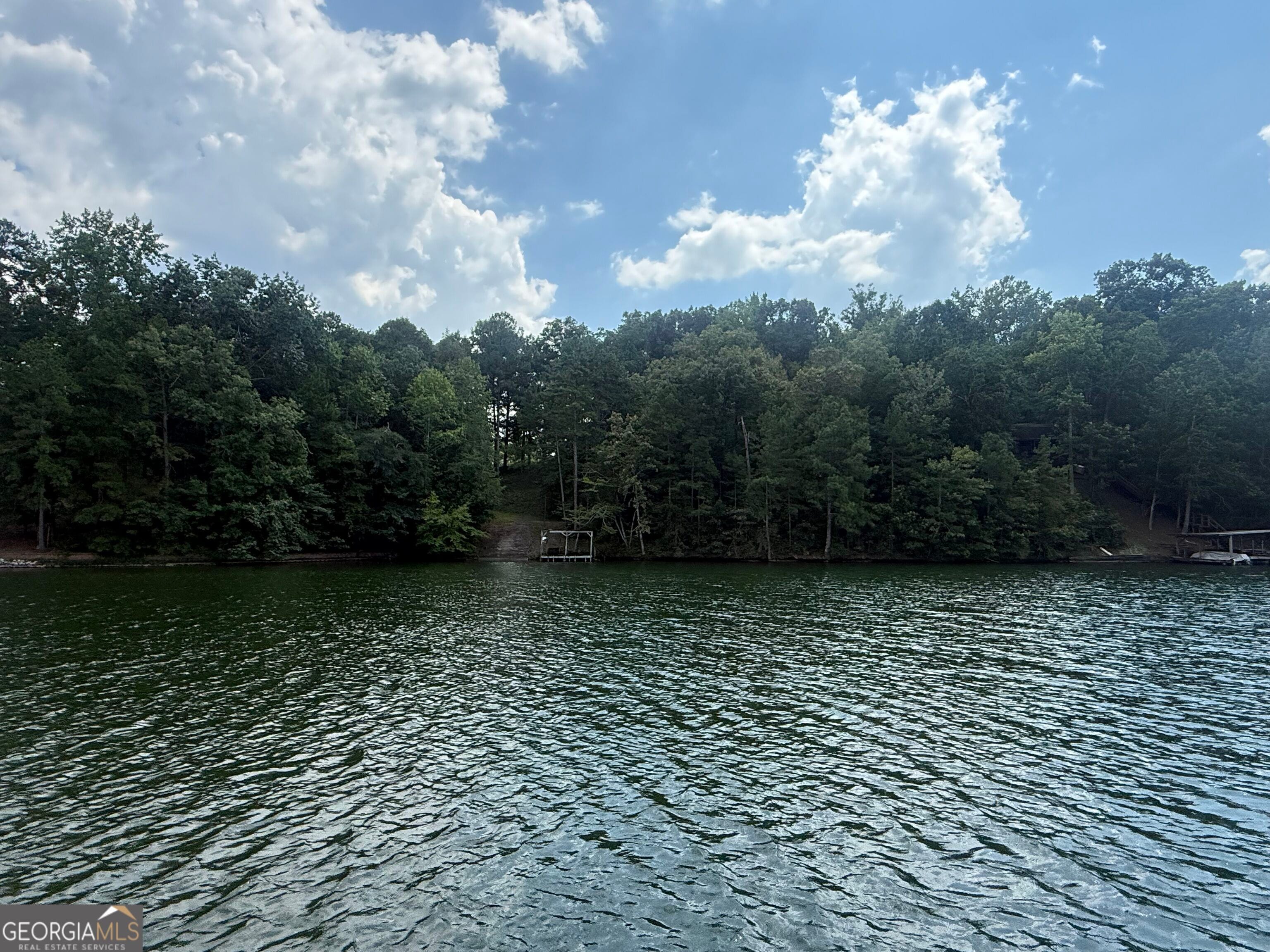 385 Holloway Rd, Wedowee, AL 36278