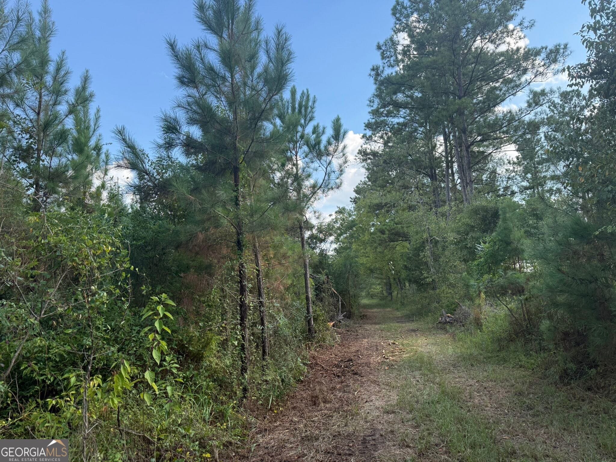 2 George Milling Rd, Cuthbert, GA 39840